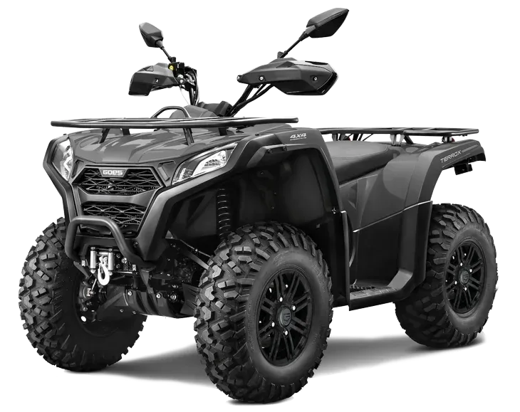 GOES TERROX 500